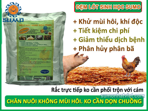 Sử dụng đệm lót sinh học trong chăn nuôi gà