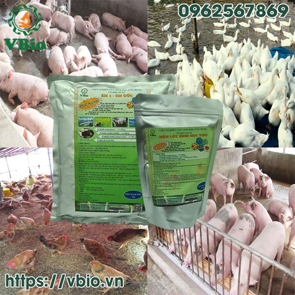 Chế phẩm vi sinh khử mùi hôi